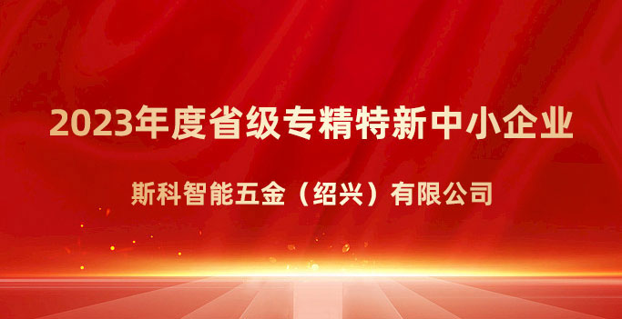 喜報！斯科榮獲浙江省“專精特新”企業(yè)稱號